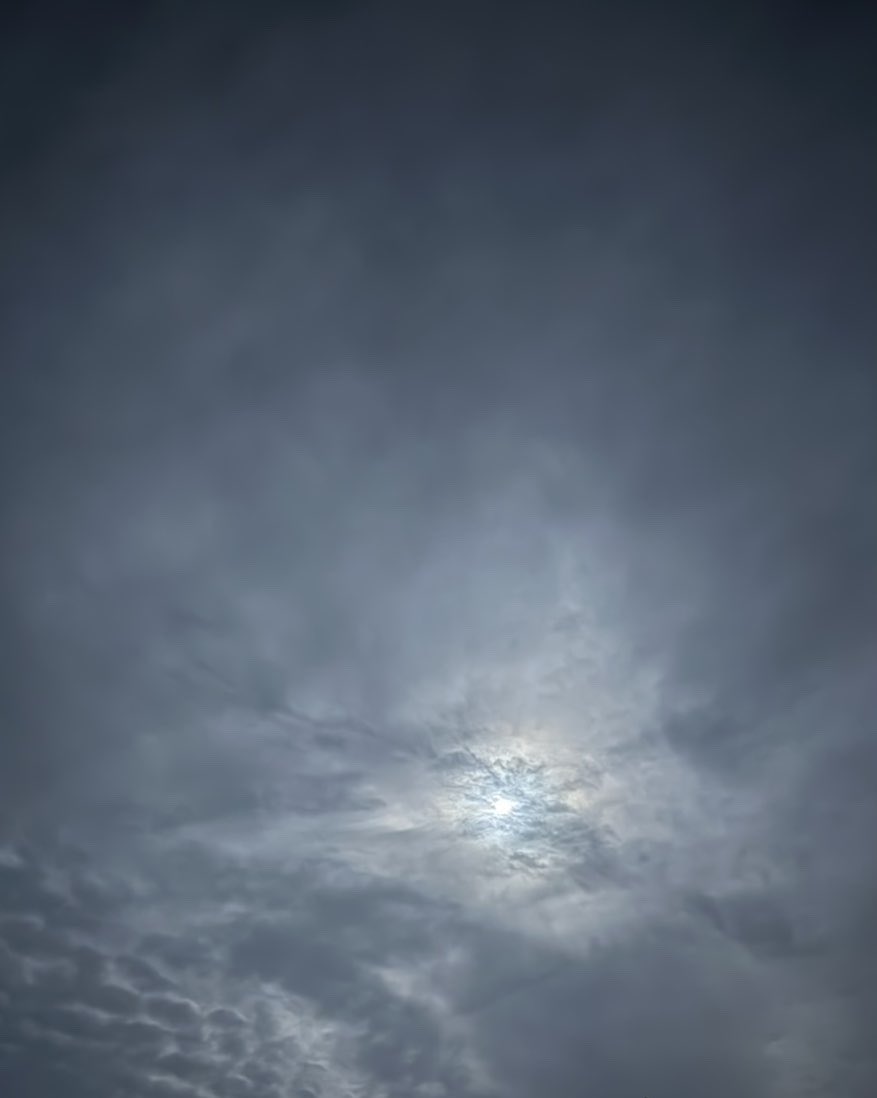 ⚡️❌

 #صلاله