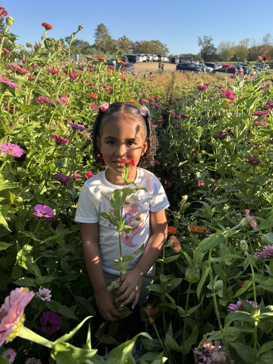 _UnforgettableG's tweet photo. Pumpkin Patch 🧡 https://t.co/2Bs2QW8RZI