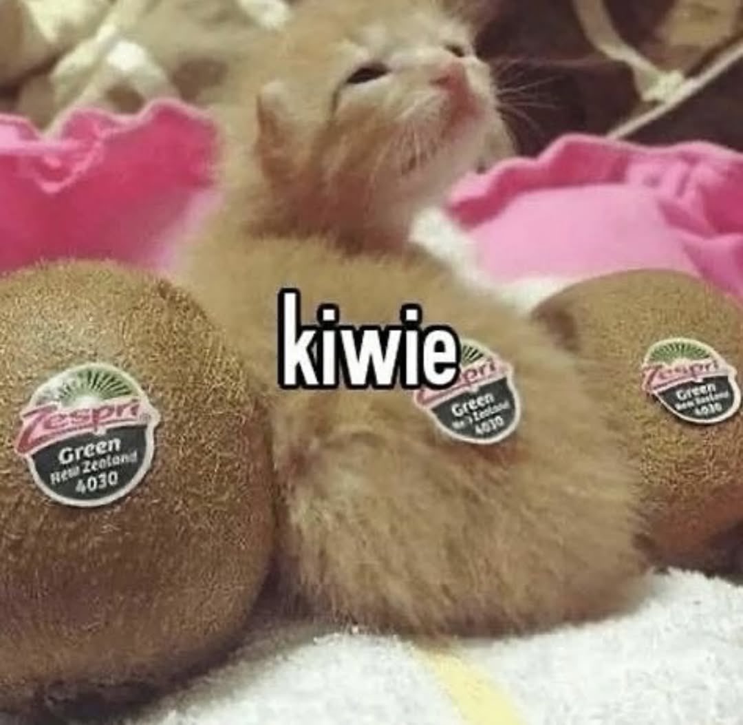 spoonfulofbeez's tweet image. why do these accounts continually ai generate images that already exist but just make them worse and less funny