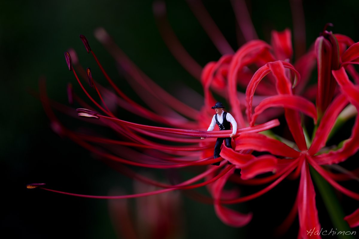 今年も忙しいこの季節。残業代でるかな、、、
instagram.com/halchimon/