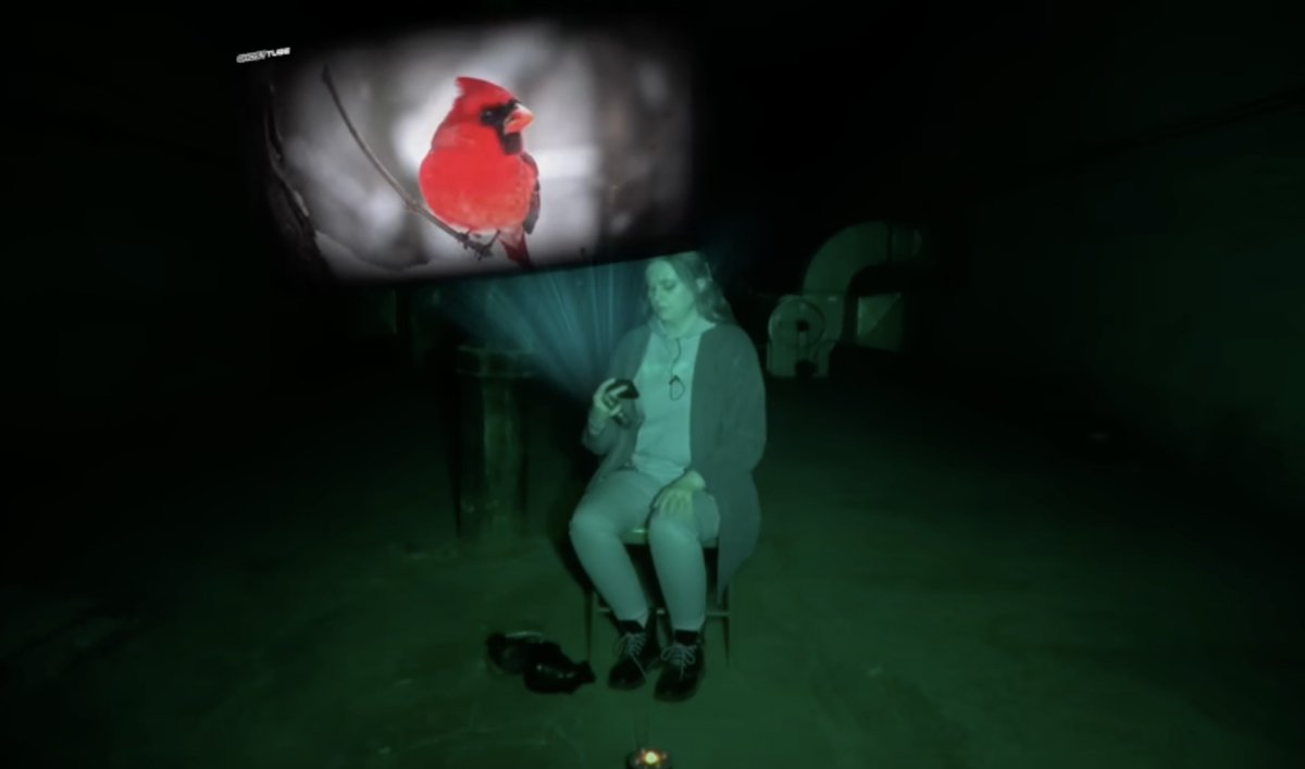 GhostTube tweet media