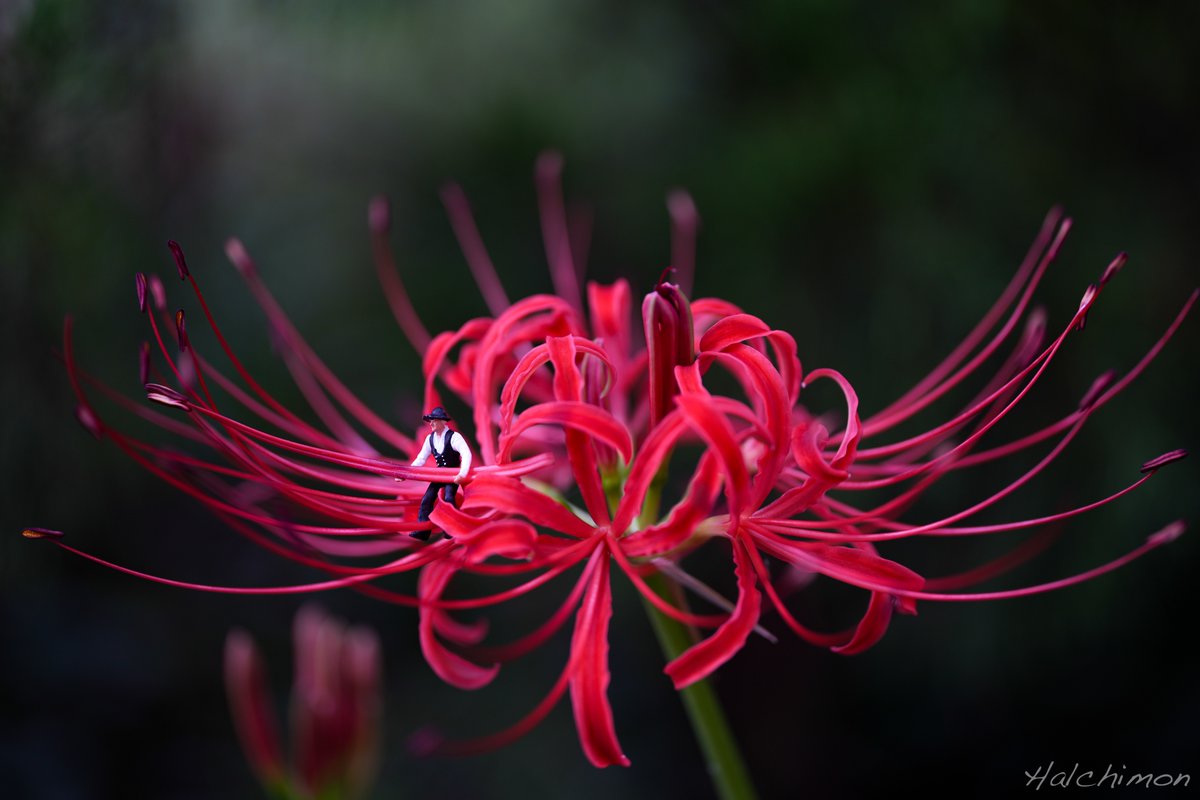 今のところ残業代未払い、、、
instagram.com/halchimon/