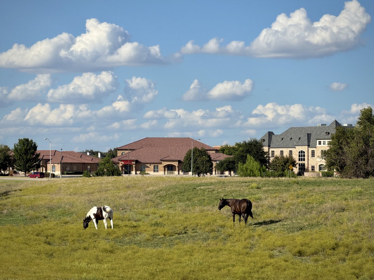 Wombat_Matt's tweet image. Plano, TX 🐴