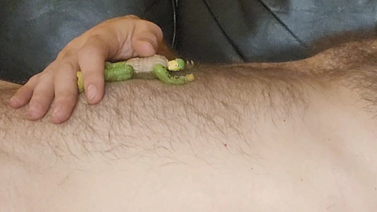 DustinIdoyou tweet media