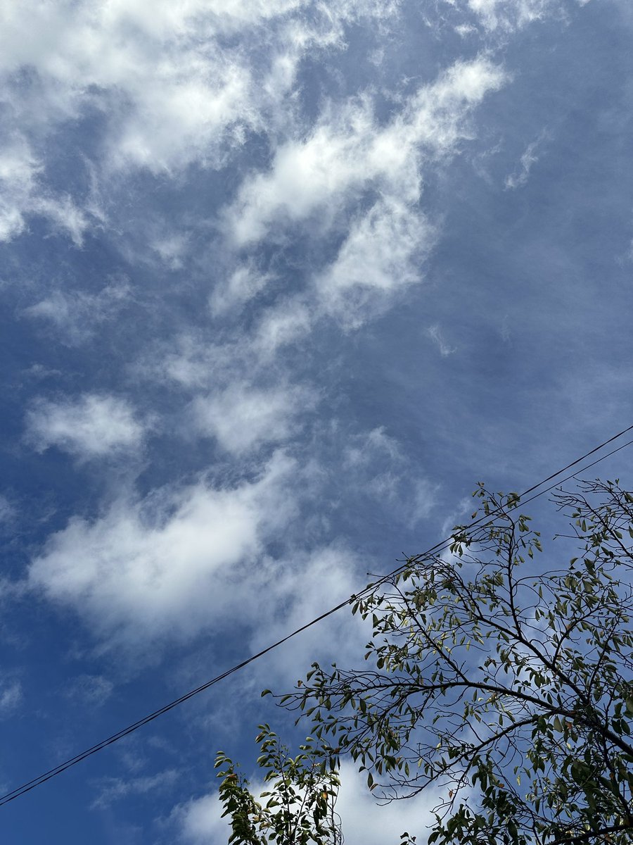 雲雲雲の下 雲雲雲の下 ガレージチノワイドストレートパンツ