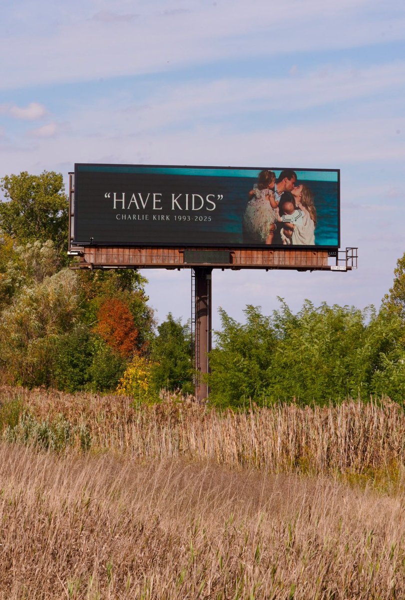 Anna Lulis tweet media