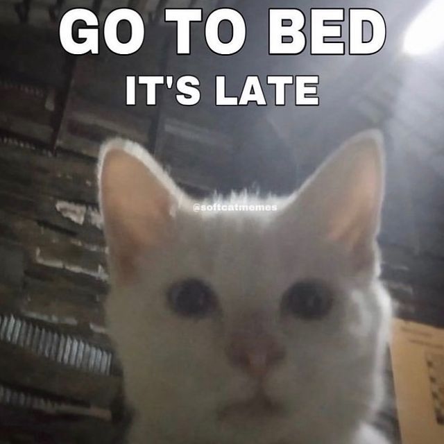 kyletim13's tweet image. #WhatIForgotToDo turn off my phone and go to bed