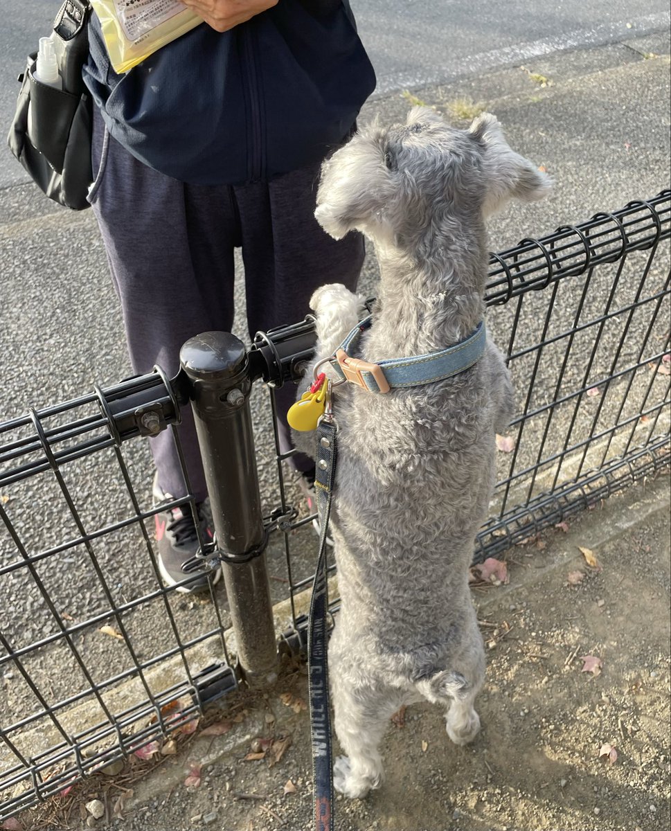 おはようございま〜す
とりあえずオヤツください
