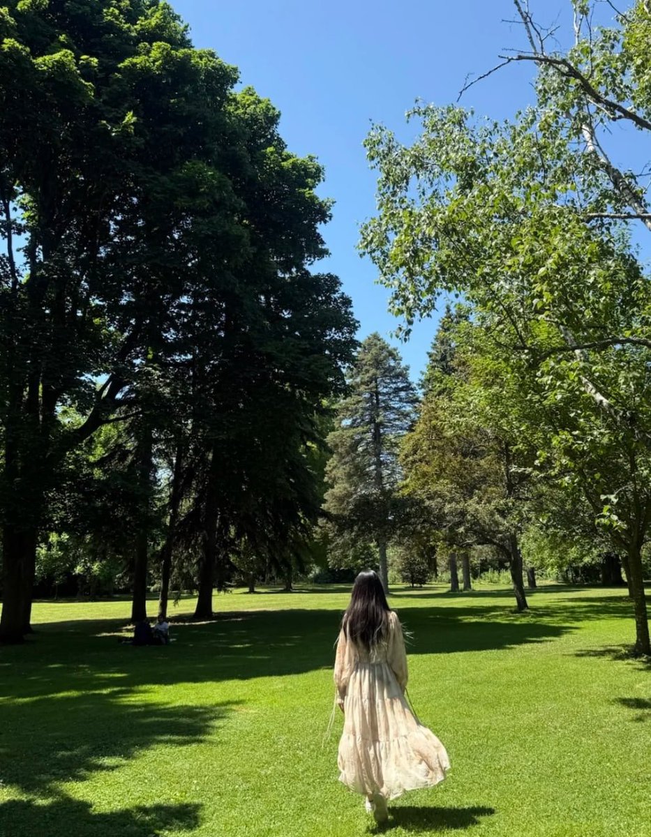 Lost in nature's poetry 🌿✨🕊️