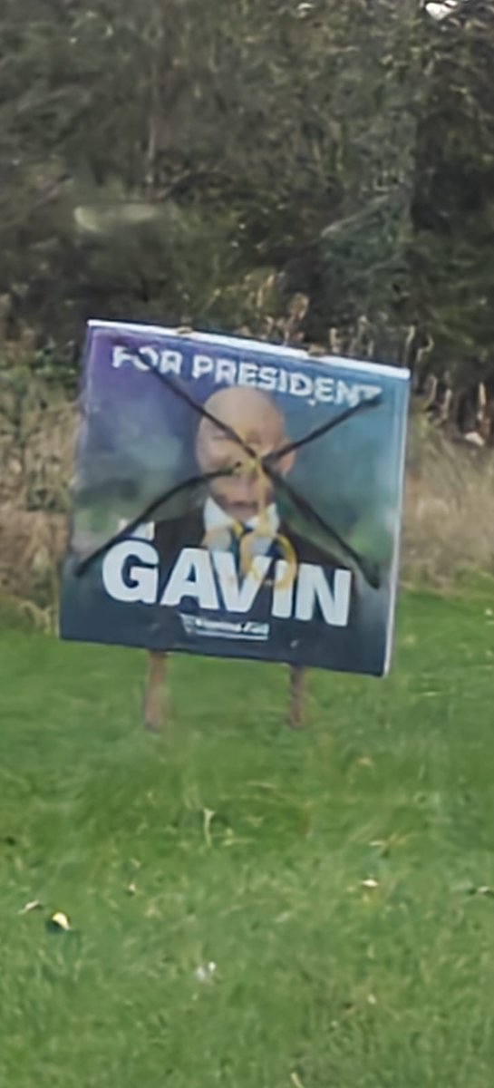 Deirdre Reynolds tweet media