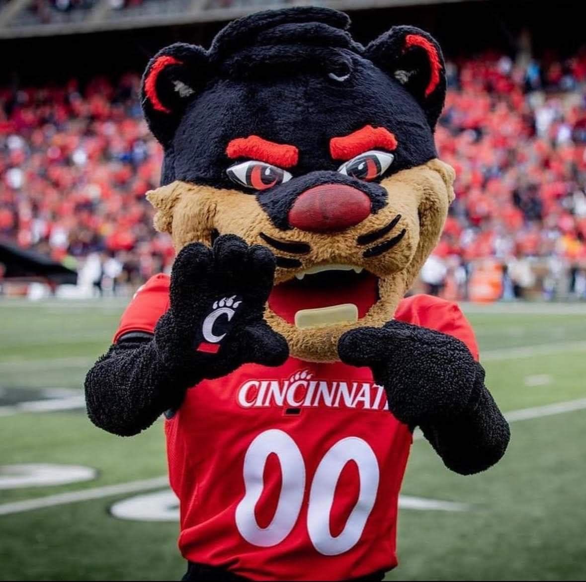 Peyton “PB” Bishop (@peytonfrom803) on Twitter photo After a great call with <a href="/TheGuruStew/">CoachStewart</a> I am blessed to receive an Offer from the university of Cincinnati #Gobearcats❤️🖤 <a href="/Coach_Cass/">Cass Simmons</a> <a href="/tygeeleach/">Tygee Leach</a> <a href="/hackney_cohen/">Cohen Hackney</a> <a href="/GoBearcatsFB/">Cincinnati Football</a> <a href="/RyanBartow/">RyanBartow</a> <a href="/LouatTheState/">Lou Bezjak</a> <a href="/WardlawPreps/">Lee Wardlaw</a> <a href="/ChadSimmons_/">ChadSimmons</a> <a href="/ACFloraFootball/">AC Flora Football</a> <a href="/247recruiting/">247Sports Recruiting</a> <a href="/TomLoy247/">Tom Loy</a> After a great call with <a href="/TheGuruStew/">CoachStewart</a> I am blessed to receive an Offer from the university of Cincinnati #Gobearcats❤️🖤 <a href="/Coach_Cass/">Cass Simmons</a> <a href="/tygeeleach/">Tygee Leach</a> <a href="/hackney_cohen/">Cohen Hackney</a> <a href="/GoBearcatsFB/">Cincinnati Football</a> <a href="/RyanBartow/">RyanBartow</a> <a href="/LouatTheState/">Lou Bezjak</a> <a href="/WardlawPreps/">Lee Wardlaw</a> <a href="/ChadSimmons_/">ChadSimmons</a> <a href="/ACFloraFootball/">AC Flora Football</a> <a href="/247recruiting/">247Sports Recruiting</a> <a href="/TomLoy247/">Tom Loy</a>