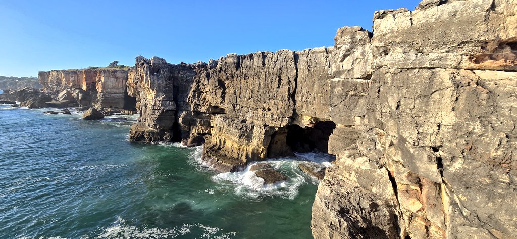 chris_neto's tweet image. Out of office #avtweeps