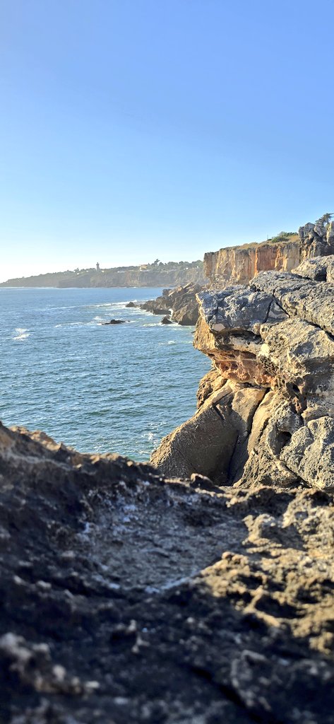 chris_neto's tweet image. Out of office #avtweeps