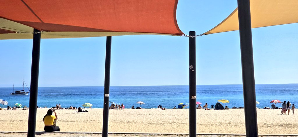 chris_neto's tweet image. Out of office #avtweeps