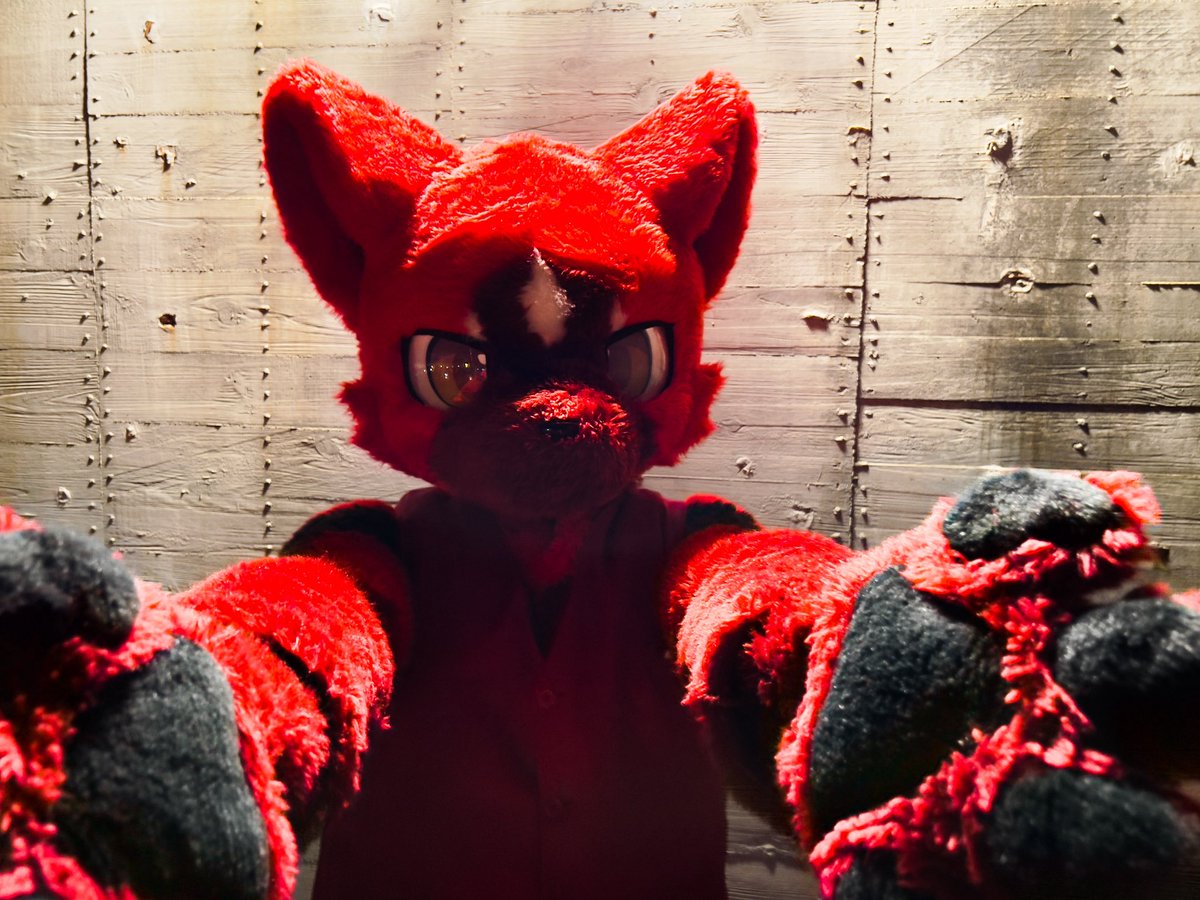 tsaibozon's tweet photo. Looks like I got tanned…

📷 @TAKI_XR 

#fursuit365_276 https://t.co/7jWrYLVXtV