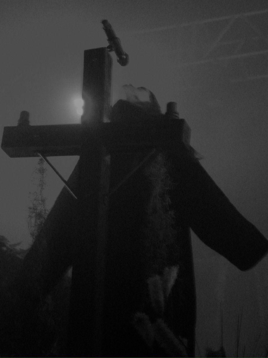 Ethel Cain Tour Updates † tweet media