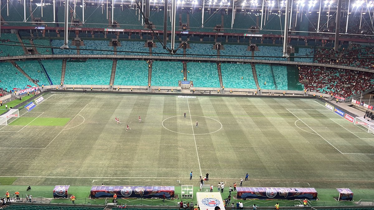 Trocar gramado que nada!!!

100% meu tapetinho