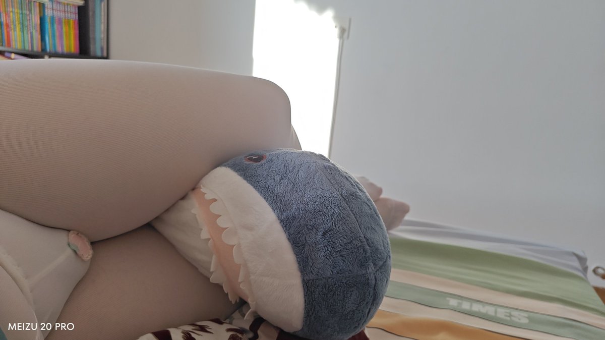 Chachiensis's tweet photo. 毛毛龙人间体捕获宜家鲨鱼珍贵照片
#mtf #药娘 #伪娘 #女装 #BLÅHAJ https://t.co/jA7BWMMOdD