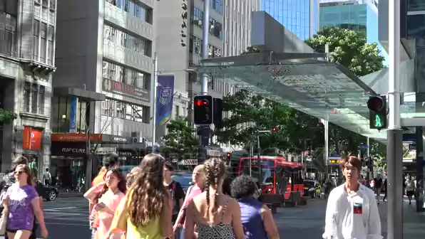 0pinionistNZ tweet media