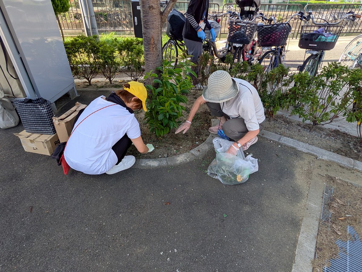 １０月２日（木）９時半から、高松橋ひろばで公園体操の後に草引きをしたヨ☘️
１０月１８日（土）の出張包括＆ハロウィンイベントは、伏見区深草と東山区南部の皆さんが協力して行うイベントだから、その前にみんなで公園を綺麗にしたクイ✨