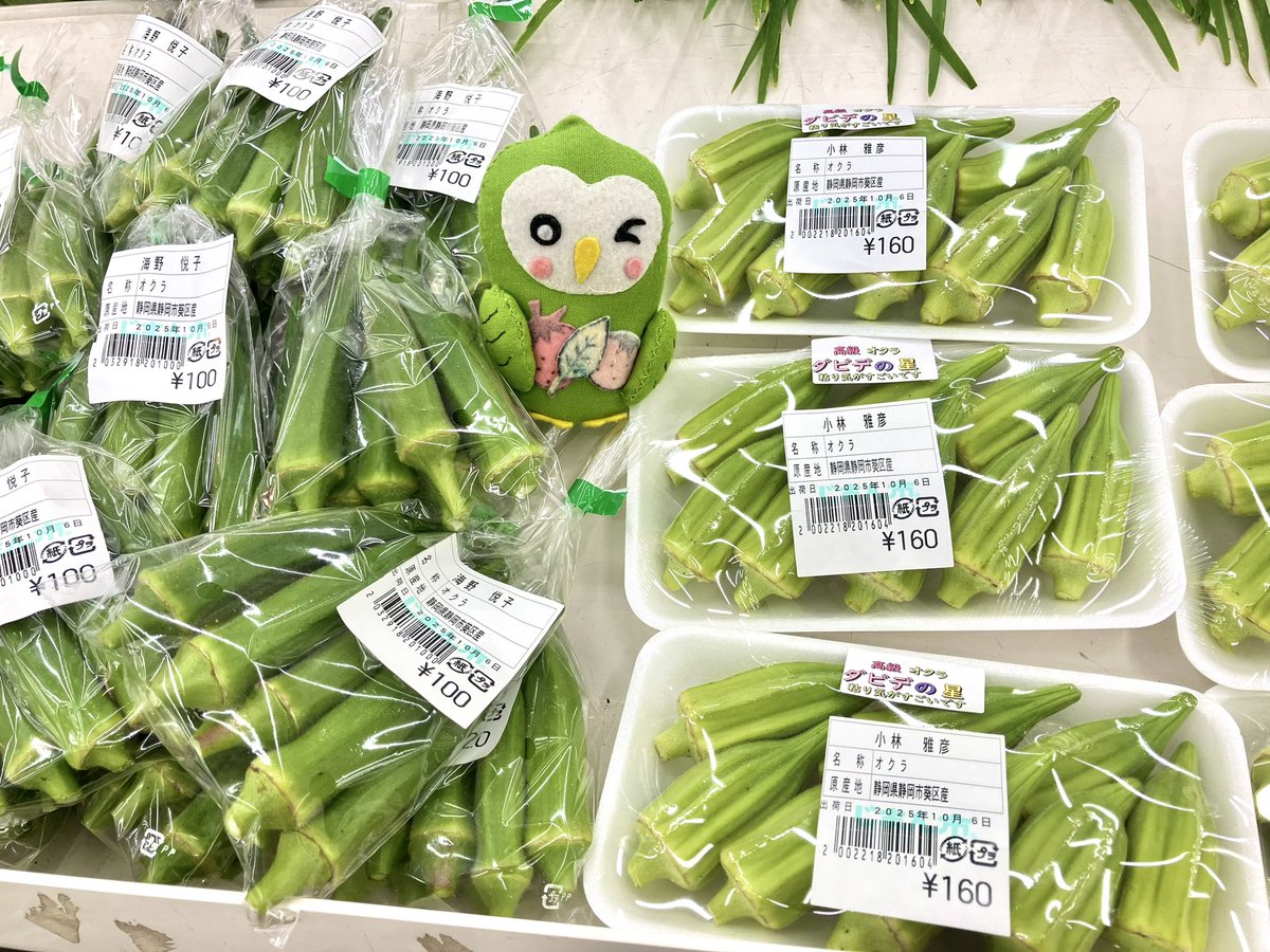 オクラさん確認画像 オクラ