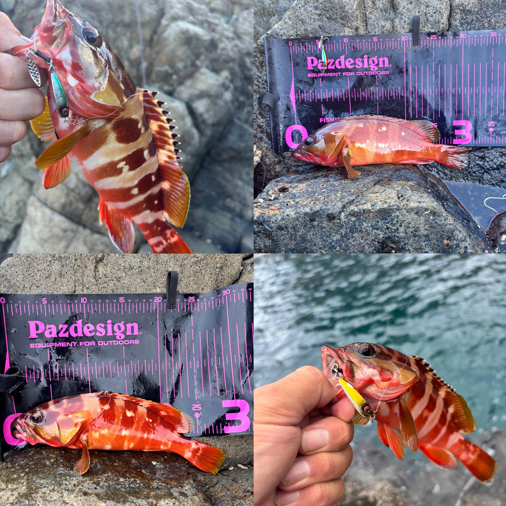 限定 キャスティング パズデザイン ima コラボ 限定 キャスティング パズデザイン ima コラボ 新製品ニュース10