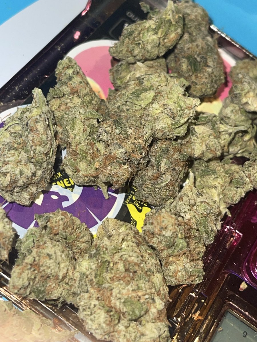 Slabsamolamb's tweet photo. 🔥💨⛽️ https://t.co/MLKYuDmUda