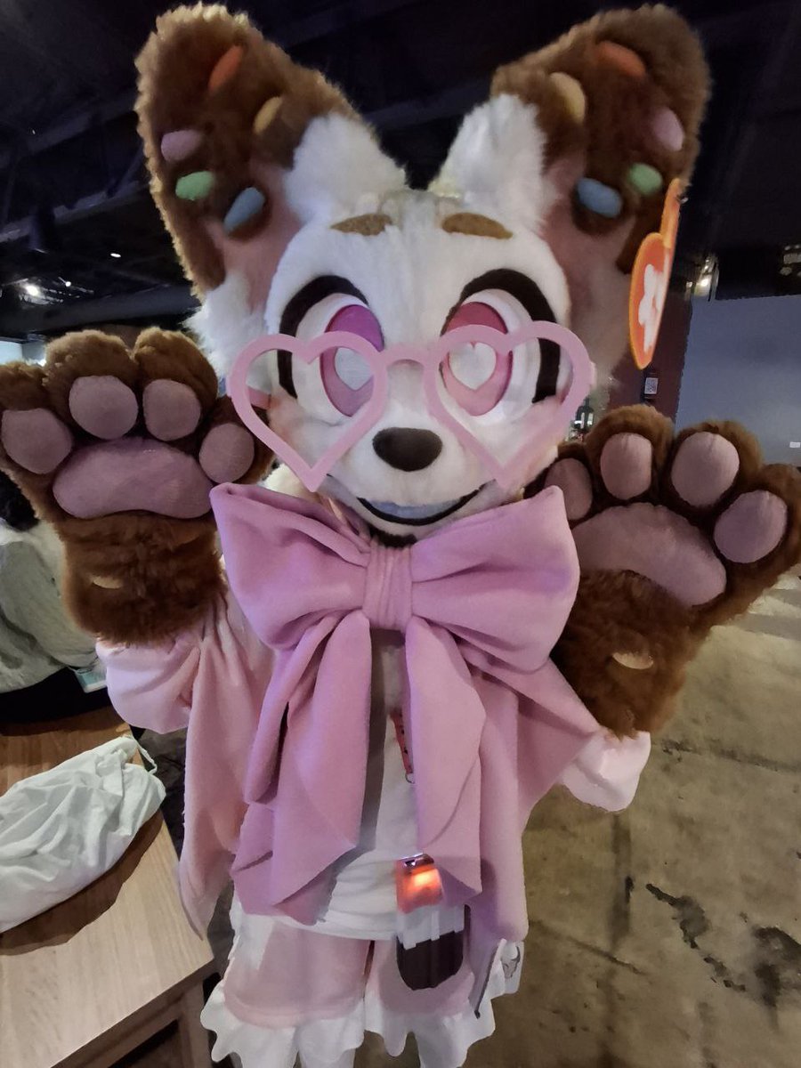 🦊 foxop 🐾 tweet media