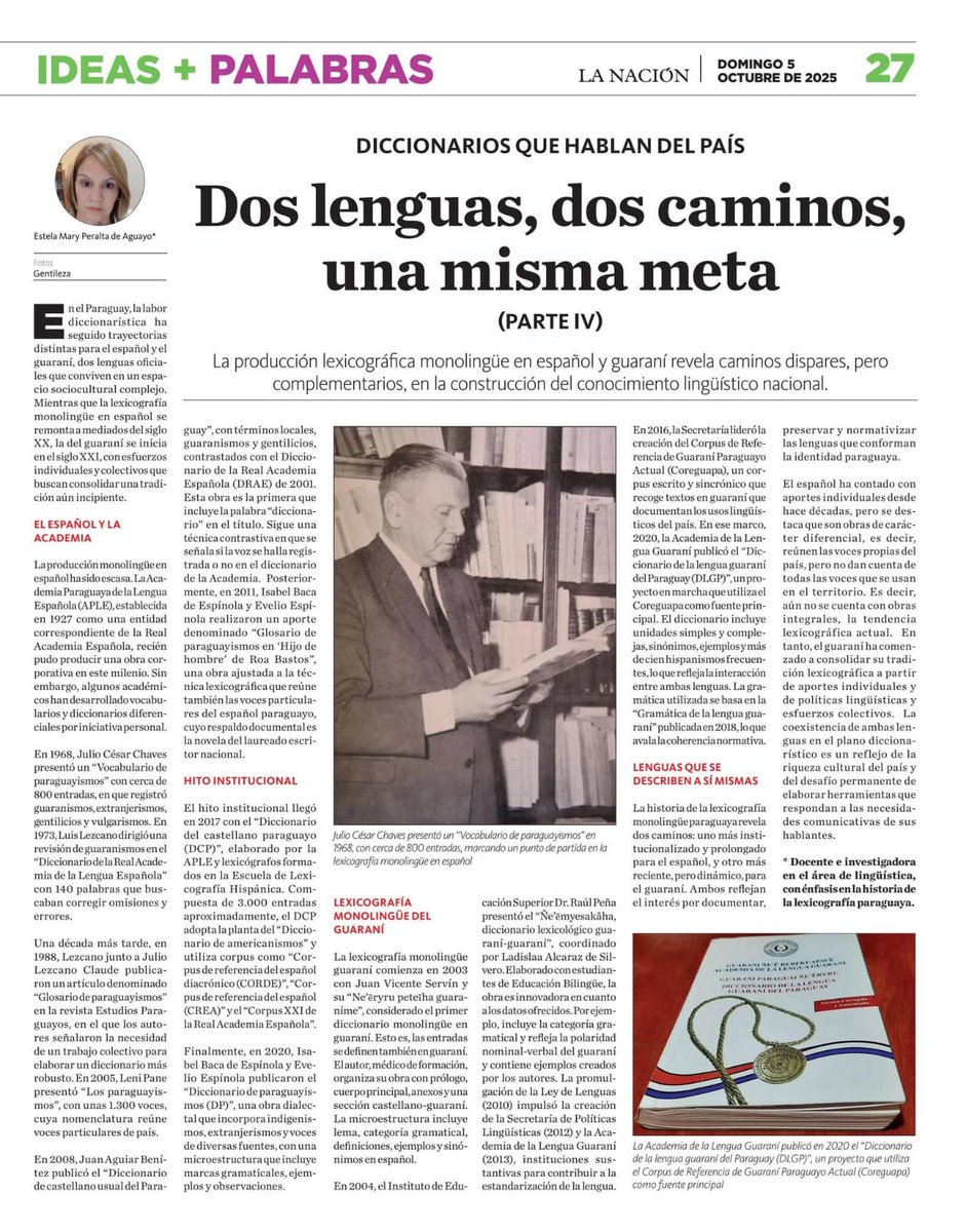 Sobre los diccionarios monolingües en territorio paraguayo.