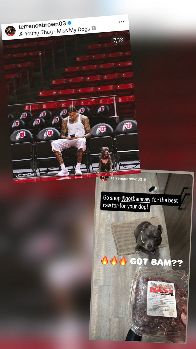 🏆 Fueled by discipline. Fueled by raw.
College athletes, Terrence Brown and his pup Ace, know performance starts with every member of the team — including their dogs. GotBam.com
#Gotbam #RawFuel #FeedLikeAChampion #AthleteApproved #DogStrong #GoUtes