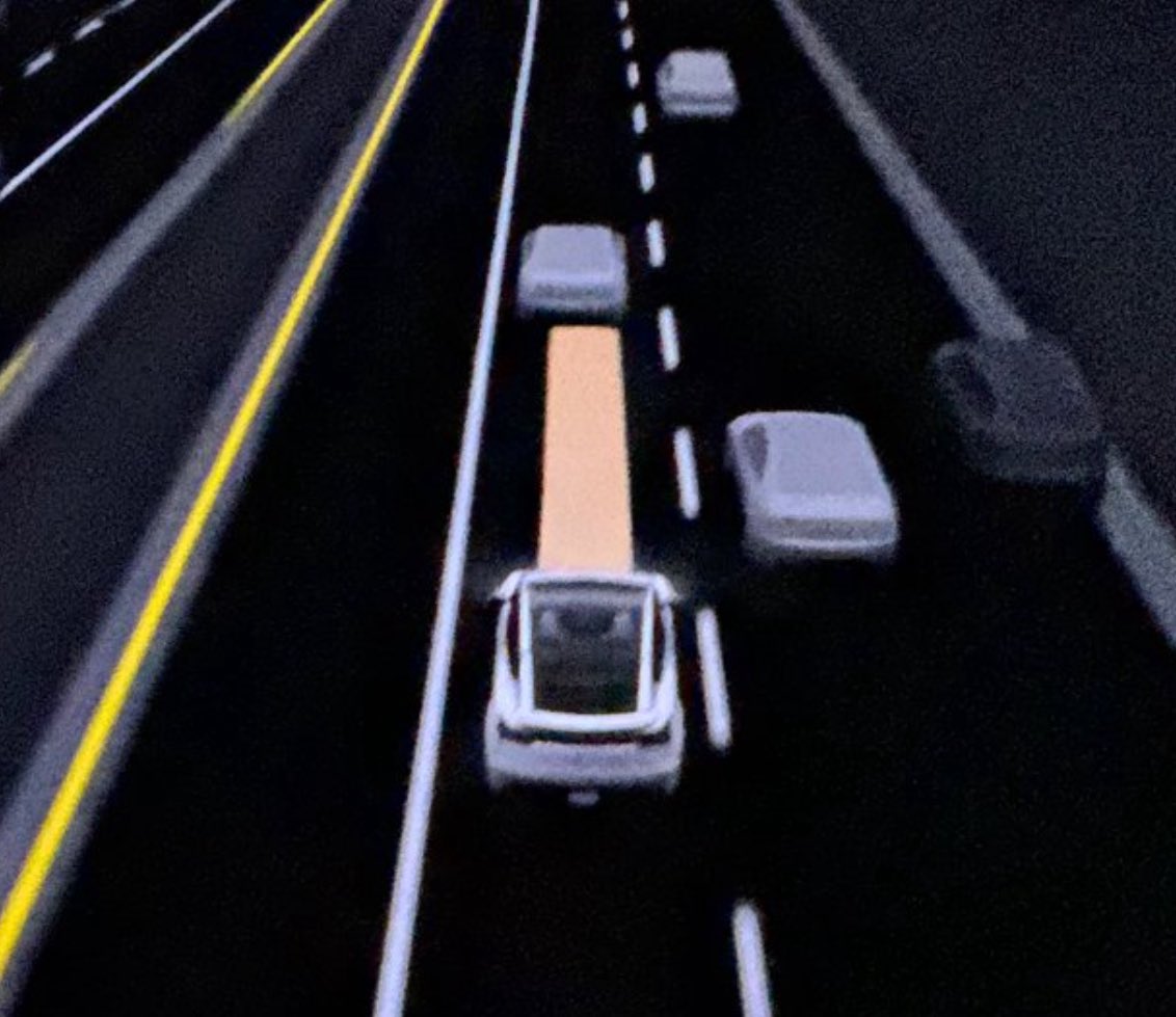 Tsla Chan tweet media