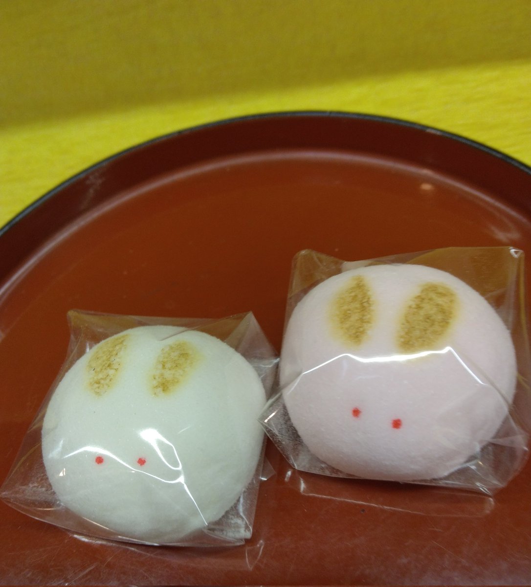 Mitakara_kame's tweet photo. おはようございます
10月6日月曜日

今日は「中秋の名月」です🎑
秋の恵みに感謝🌰🍁
今夜のお天気が心配ですが
明日は満月です🌕🌾

今週も宜しくお願い
致します🙇

皆様穏やかな一日を
お過ごしください💕

#葛飾区亀有
#みたから
#和菓子 https://t.co/EtGgUY1A76