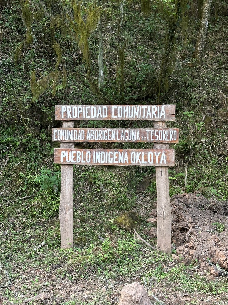 Trabajo de campo 🇦🇷