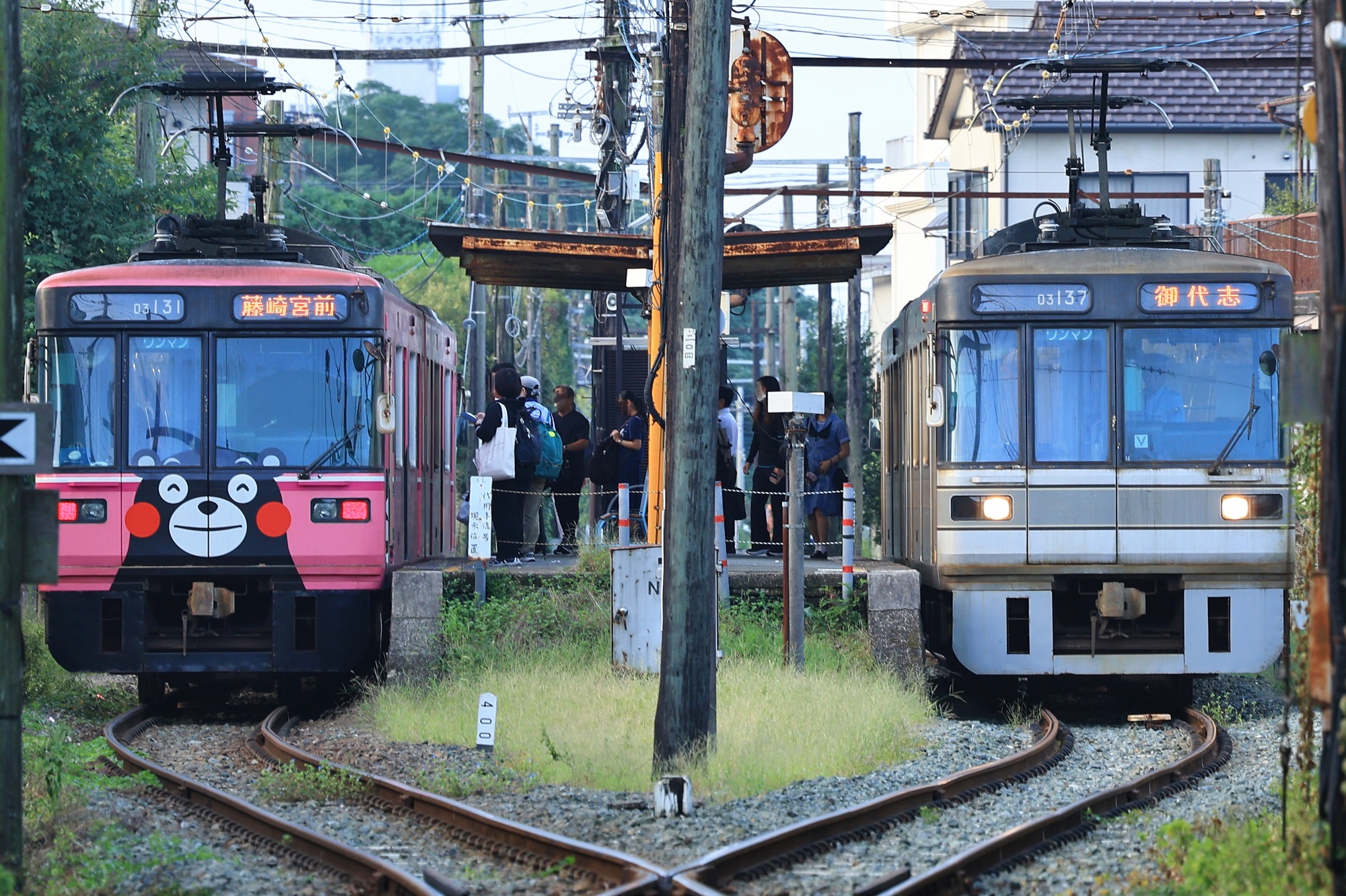 宮内庁御用達 象彦 未使用 菊竹 宮内庁御用達 象彦 未使用 菊竹 - メルカリ