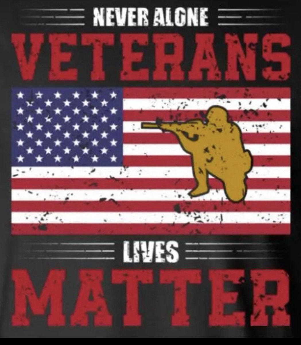 Military Support tweet media