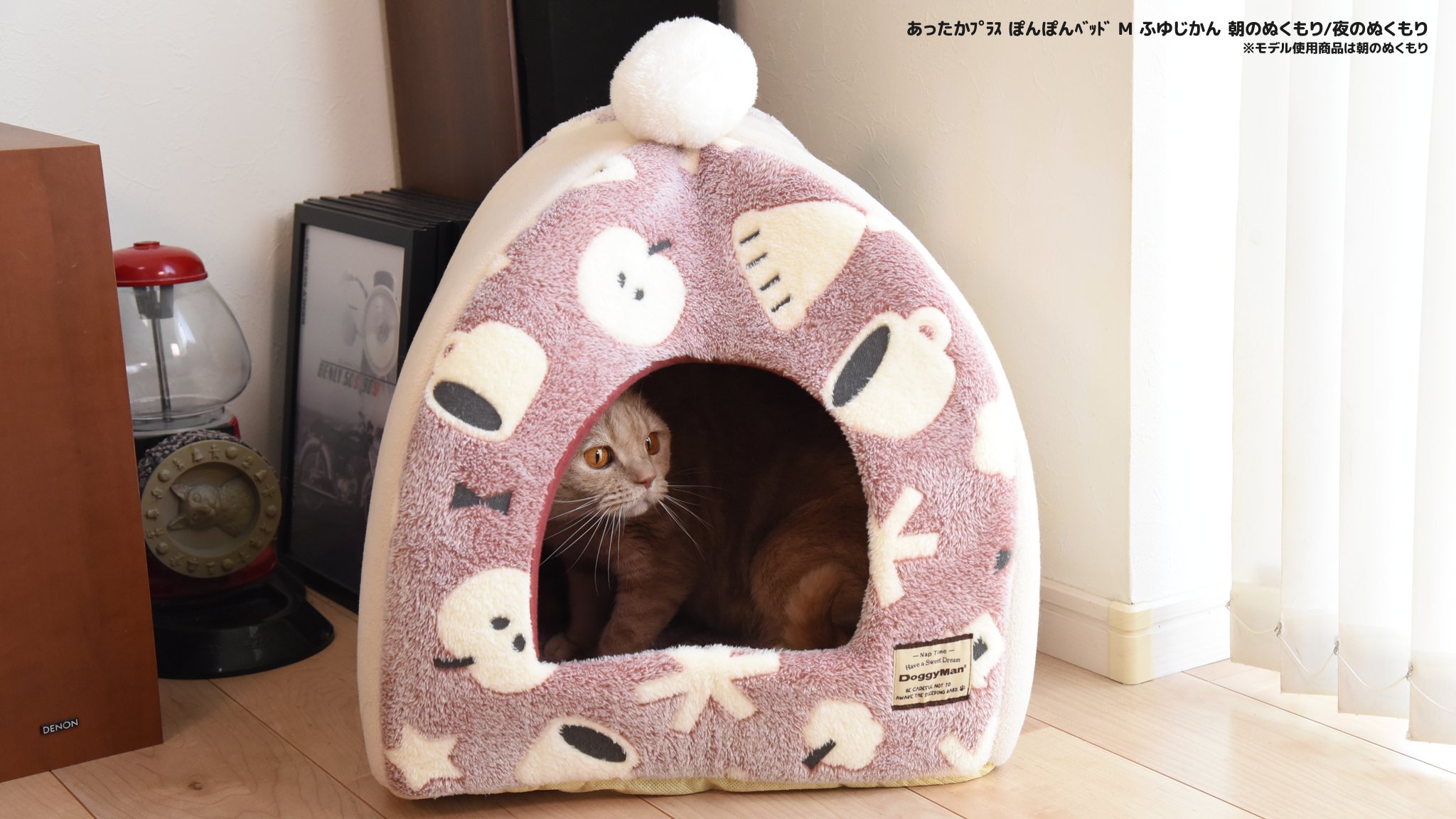 猫用品のゴロにゃん (@56nyan_com) / X
