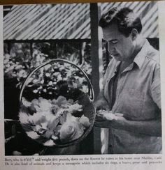 DADiClementi's tweet photo. Always found it interesting that Hitch had Lars Thorwald love gardening. Raymond lived to grow things. #RearWindow #CCMParty https://t.co/kzFItlNEfz