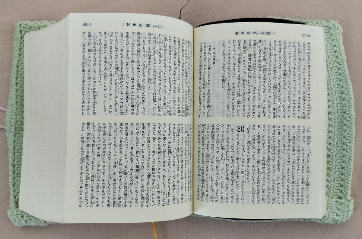 朝の日課はお祈りと聖書。

以前 #読了 と書いたけれど、聖書に読了は皆無。教会で神父様の説教を聴いたり、教会の講座に参加すると様々な視点が生まれる。1つの御言葉に1つの答えが無いというのが聖書の魅力。

昨日の福音｢からし種一粒ほどの信仰｣も善悪に捉えて解釈している人もいる。面白い。
