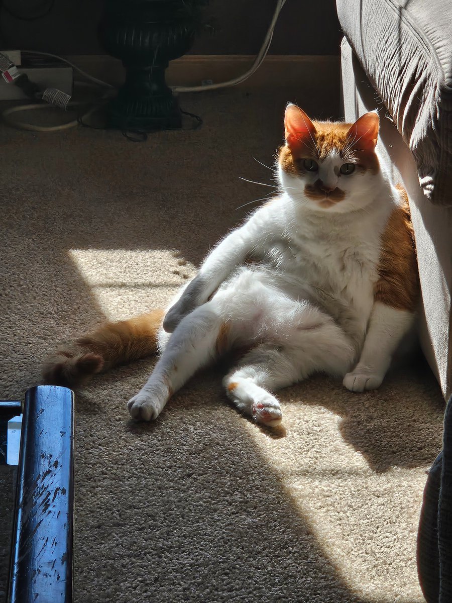 The creecher is chillaxing.