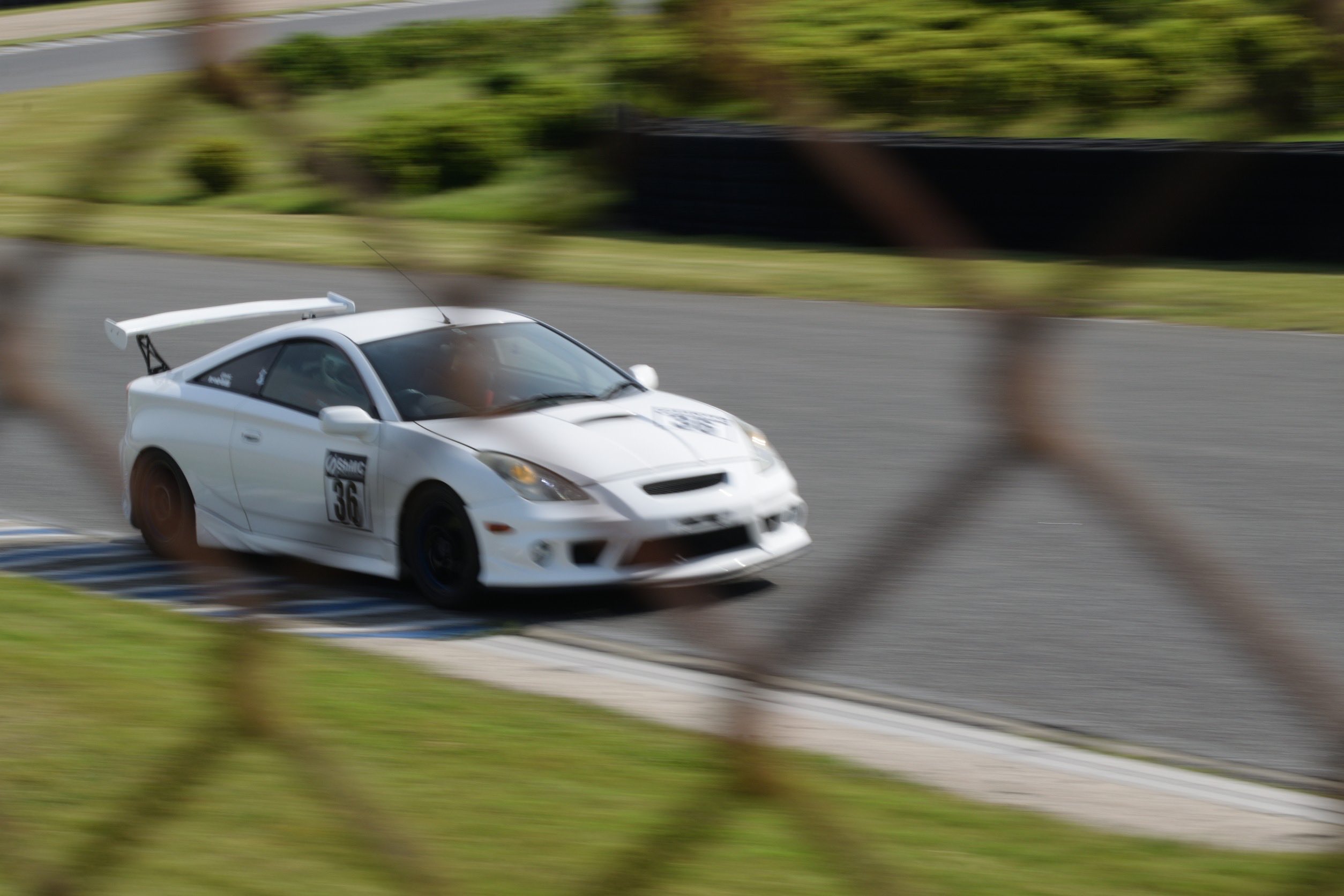 プクリン　フシギダネ　など　AR 21種　被りなし プクリン フシギダネ など AR 21種 被りなし モトブログ】129