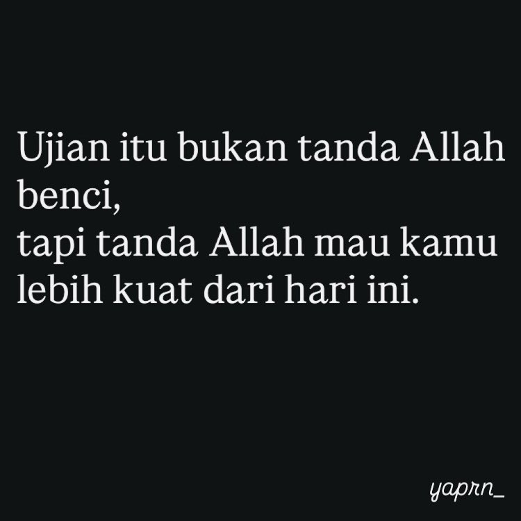 - (@_catflowers) on Twitter photo 