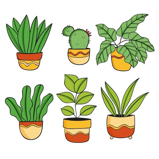 fersampaioofc's tweet photo. AS PLANTAS MERECEM RESPEITO! 🌱

HAHAHAHA 🤣🤣🤣
#AFazenda | #TeamFê 🦉 https://t.co/Kw2HMWfsmX