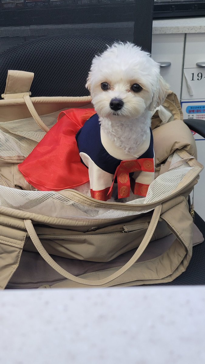 ehtro017's tweet photo. 해피추석 https://t.co/krZzL0bkGV
