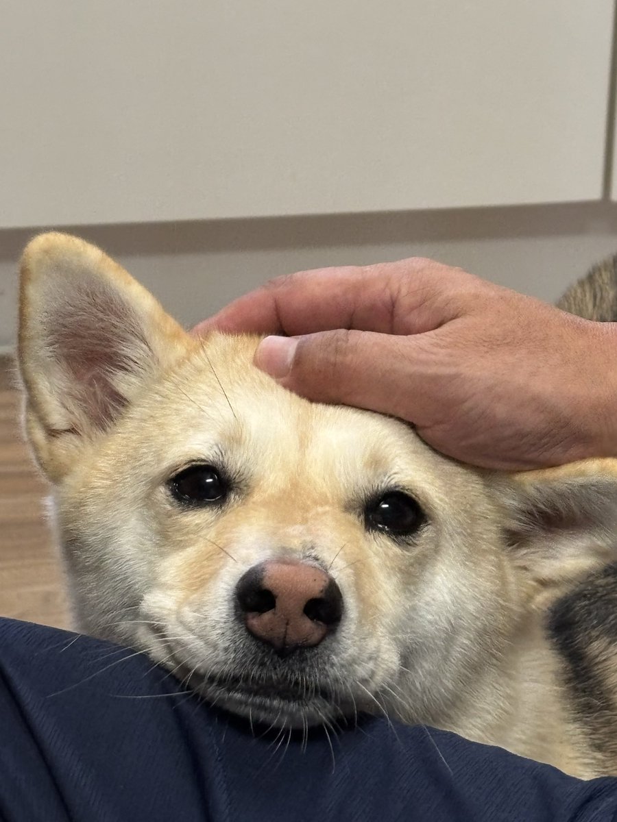 이머트친들도추석잘보내헤헤