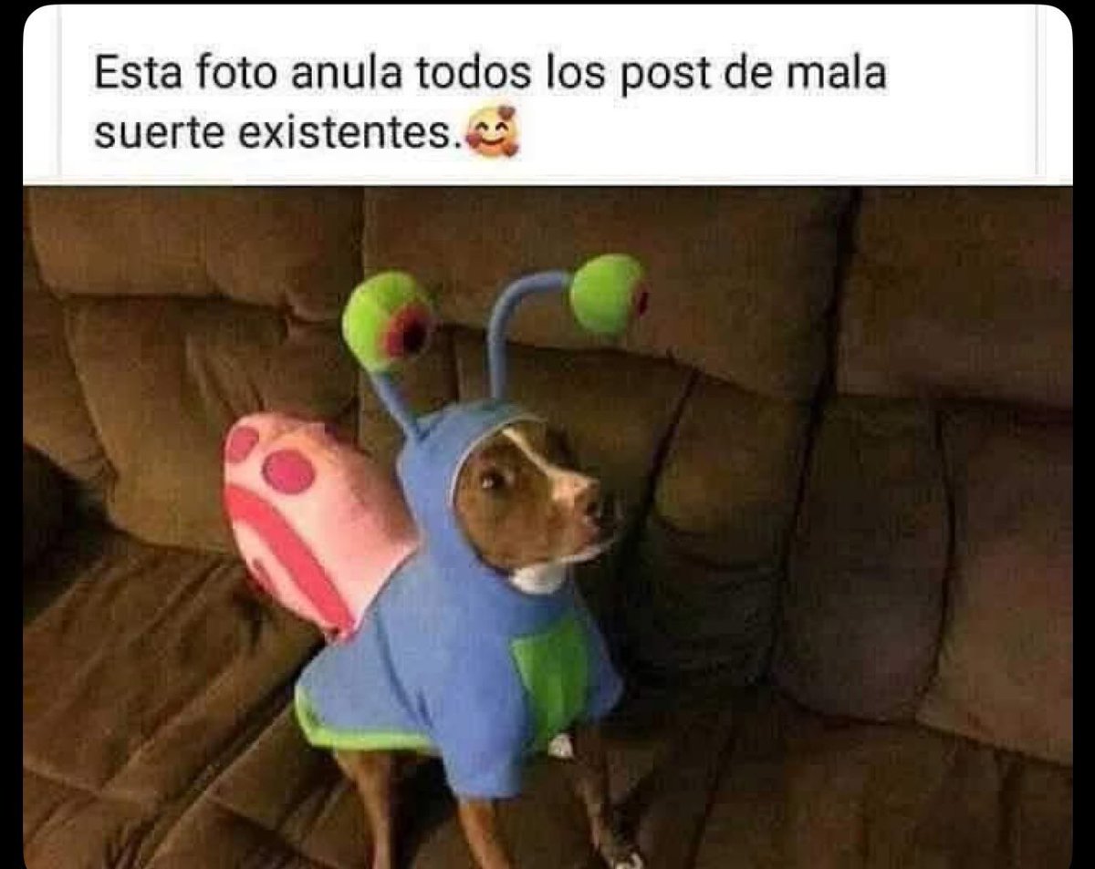 arivet38's tweet photo. @En_jupiter_ Felicidades Fred.
También por si acaso. 🎂🥳 https://t.co/Ms2hOJgWZx