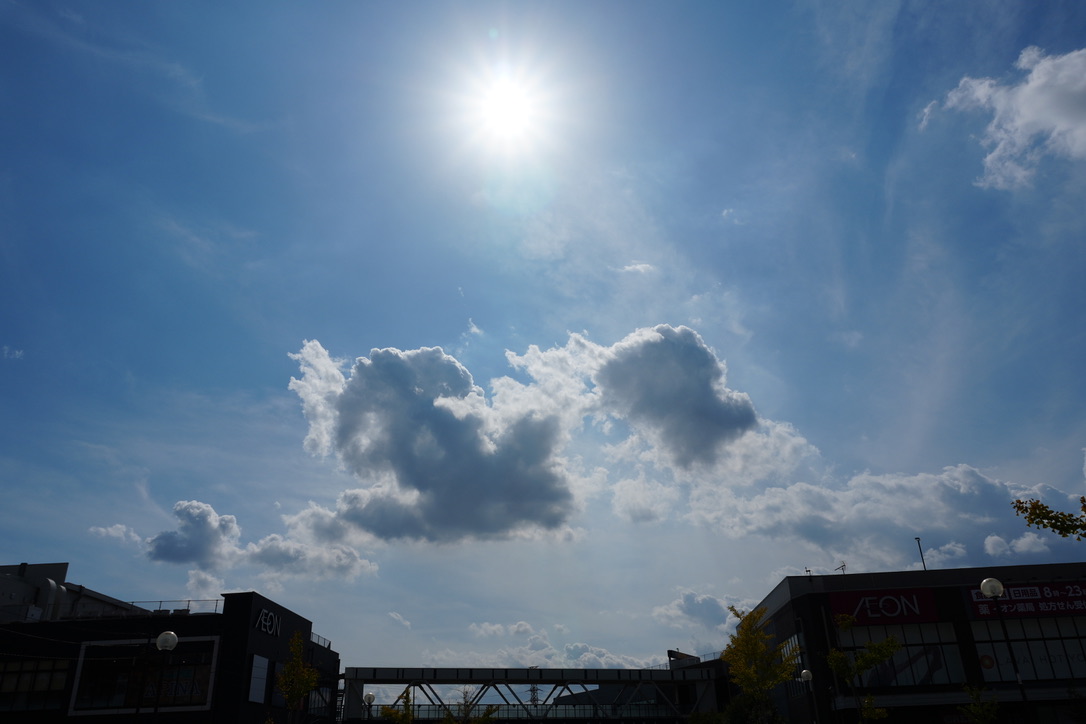 MyMalts's tweet image. #Xcode は動作したけど、#Unreal Engine 5を動作させることができない〜。私の手には追えないみたい。