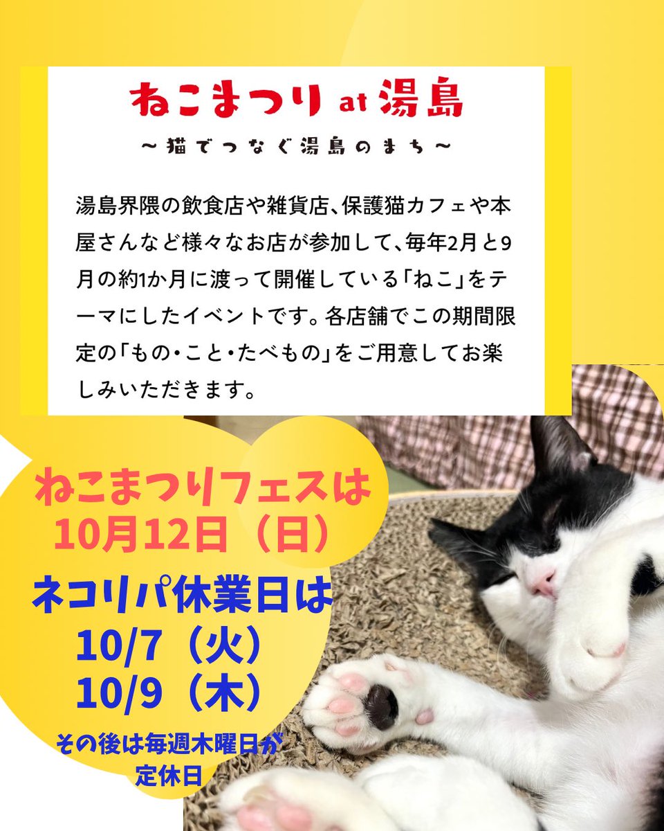 【お茶の水店】です🚂

❗️明日10/7（火）は臨時休業❗️
お気をつけくださいませ。

▪️10月もイベント盛りだくさんです▪️

🟧開催中　ねこまつり10/13まで　
10/12（土）ねこまつりフェス
⬜️お茶の水店　休業日
10/7（火）、10/9（木）
その後は毎週木曜日が定休日です。