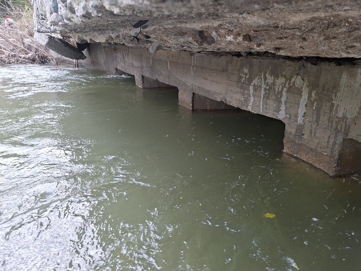 ManuelFalconH's tweet image. Hoy junto a @BeatrizJUrrutia y la Contructora Militar Santiago, evaluamos los daños y la posible solución  de los viales desde Santiago hasta la comunidad 13 de Agosto por la crecida de ríos y el colapso de las vías de acceso tras  intensas lluvias en #SantiagoDeCuba.