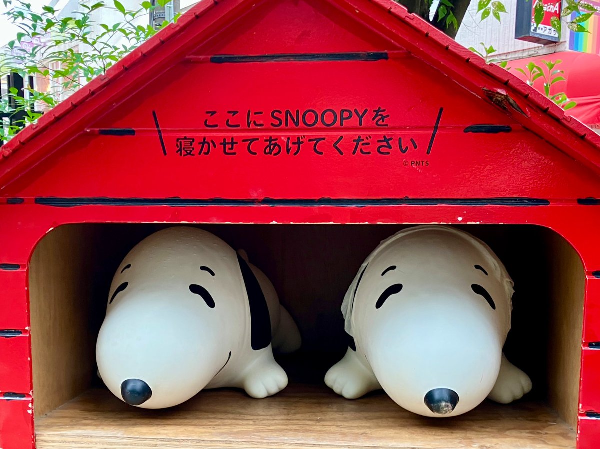 スクイーズ - Search / X