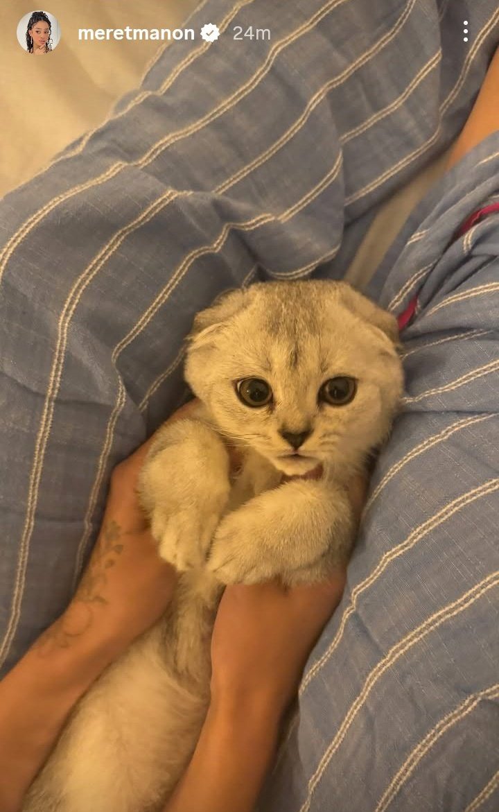 Manonary's tweet image. everyone say hi spoon